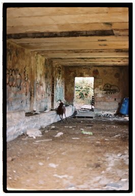 Roll Dump 22 — frame 35