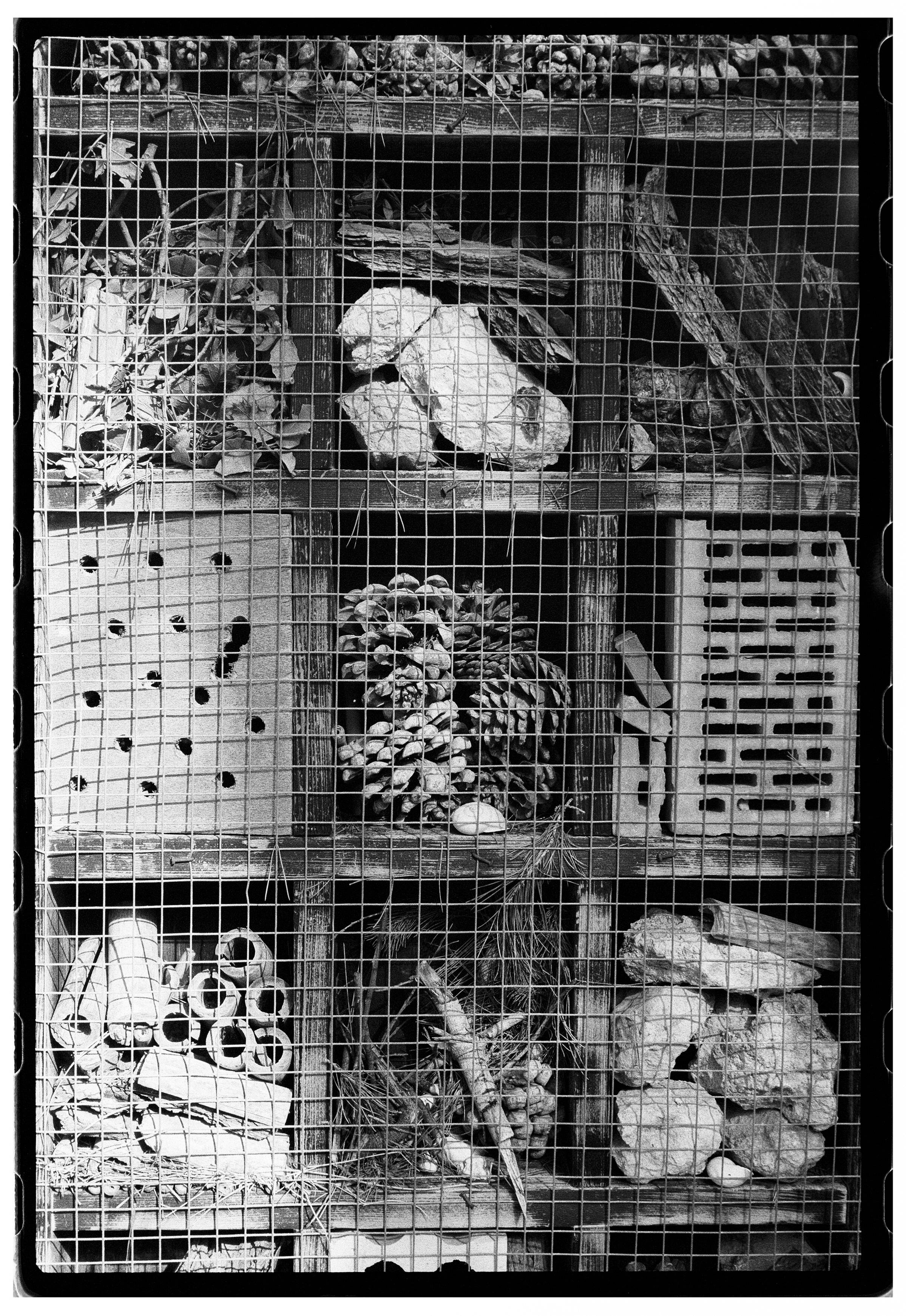 Roll Dump 32 — frame 20