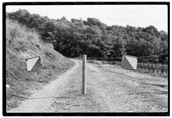 Roll Dump 32 — frame 24