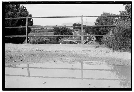 Roll Dump 32 — frame 29