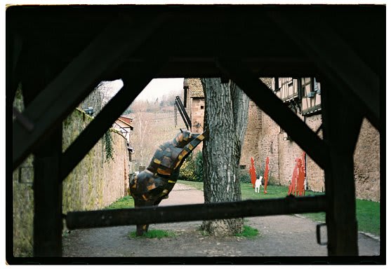 Roll Dump 37 — frame 7