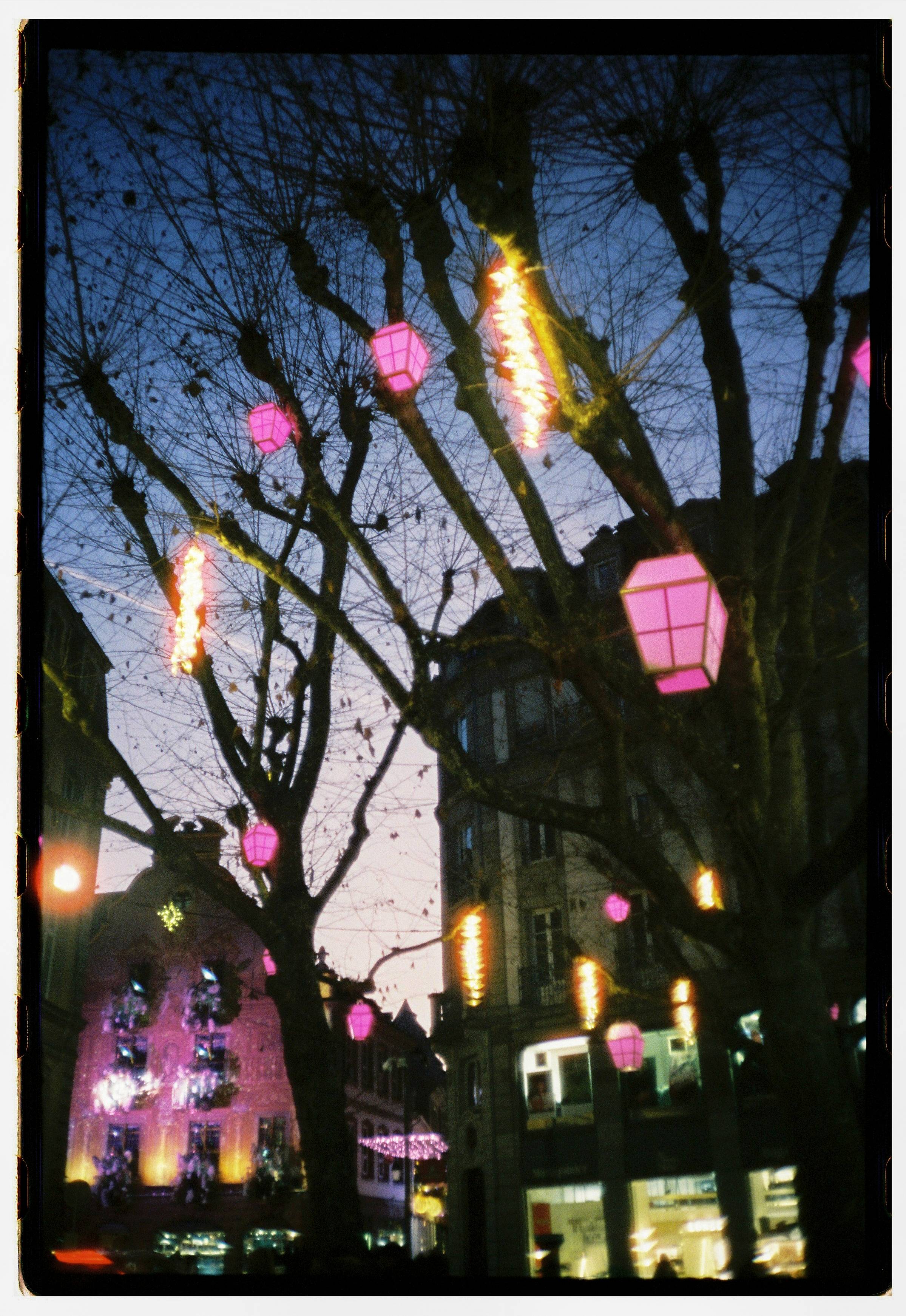 Roll Dump 40 — Olympus OM-10 · Cinestill 800T