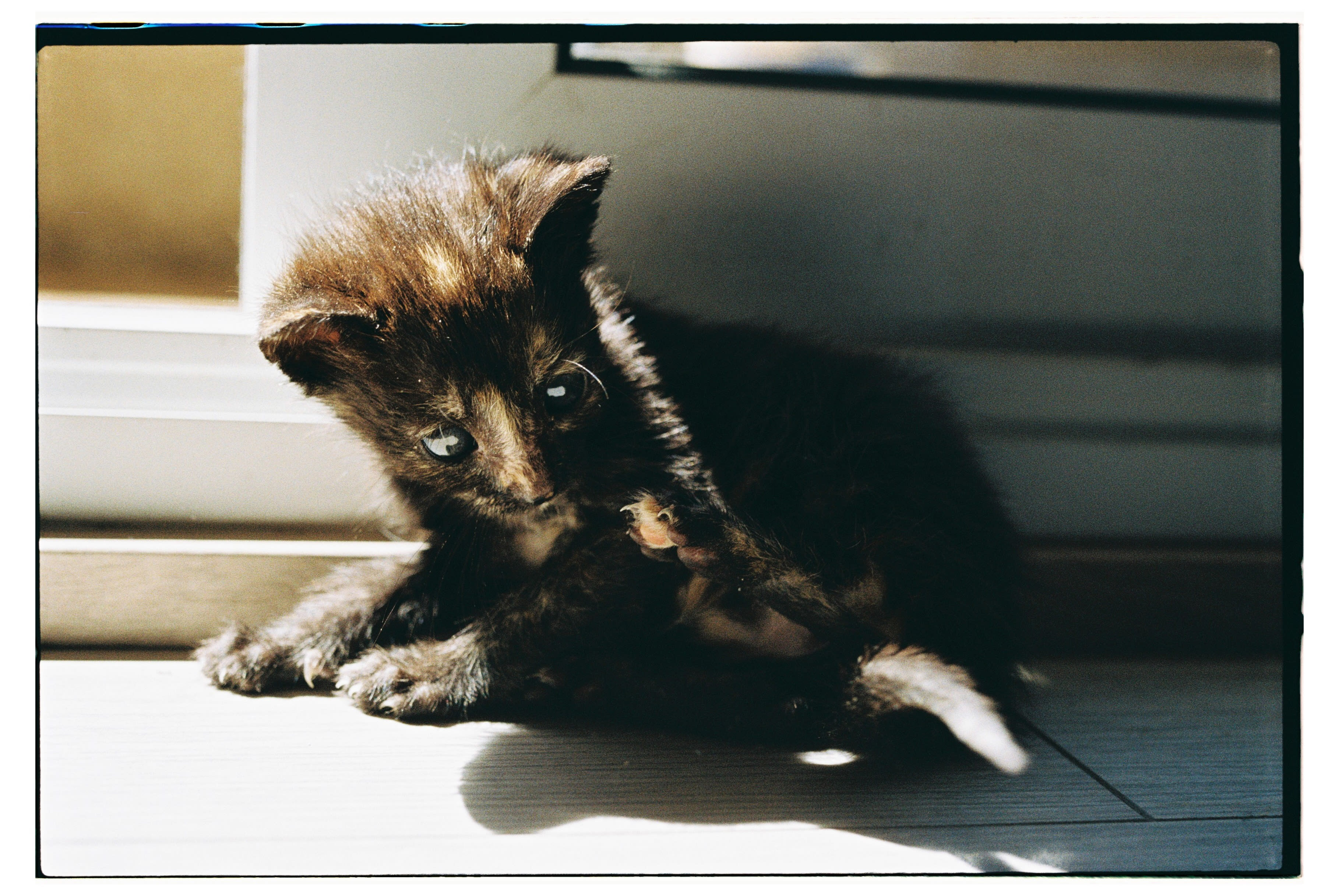 Roll Dump 13 — frame 26
