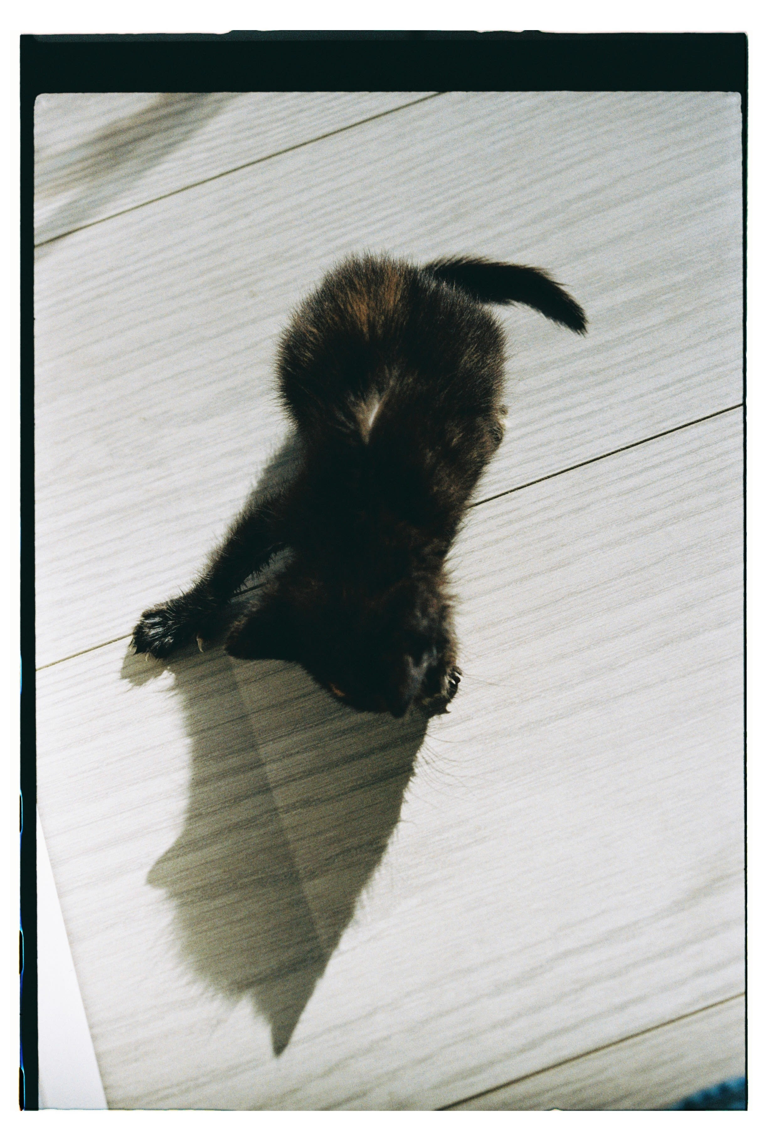 Roll Dump 13 — frame 30