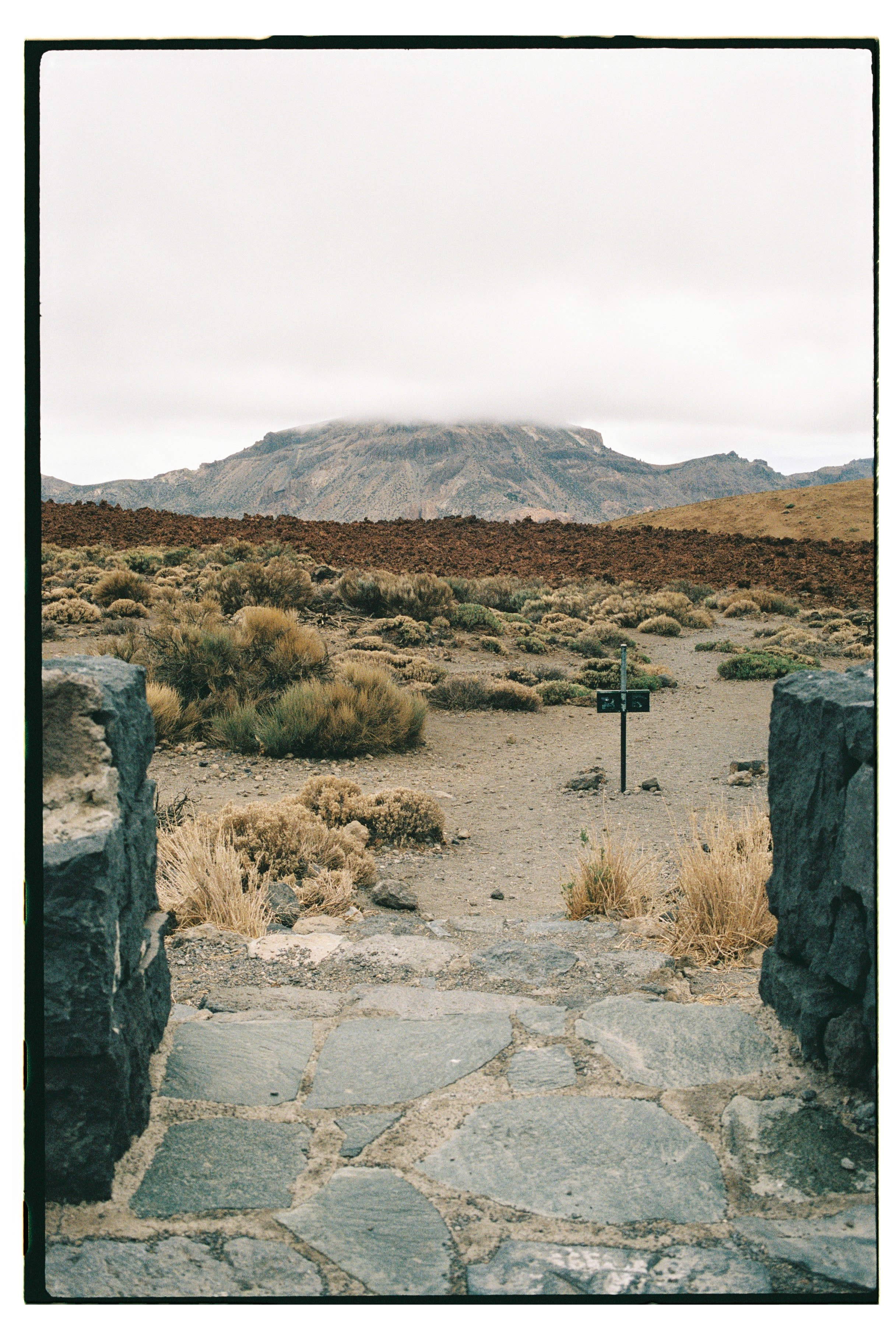 Roll Dump 14 — frame 23