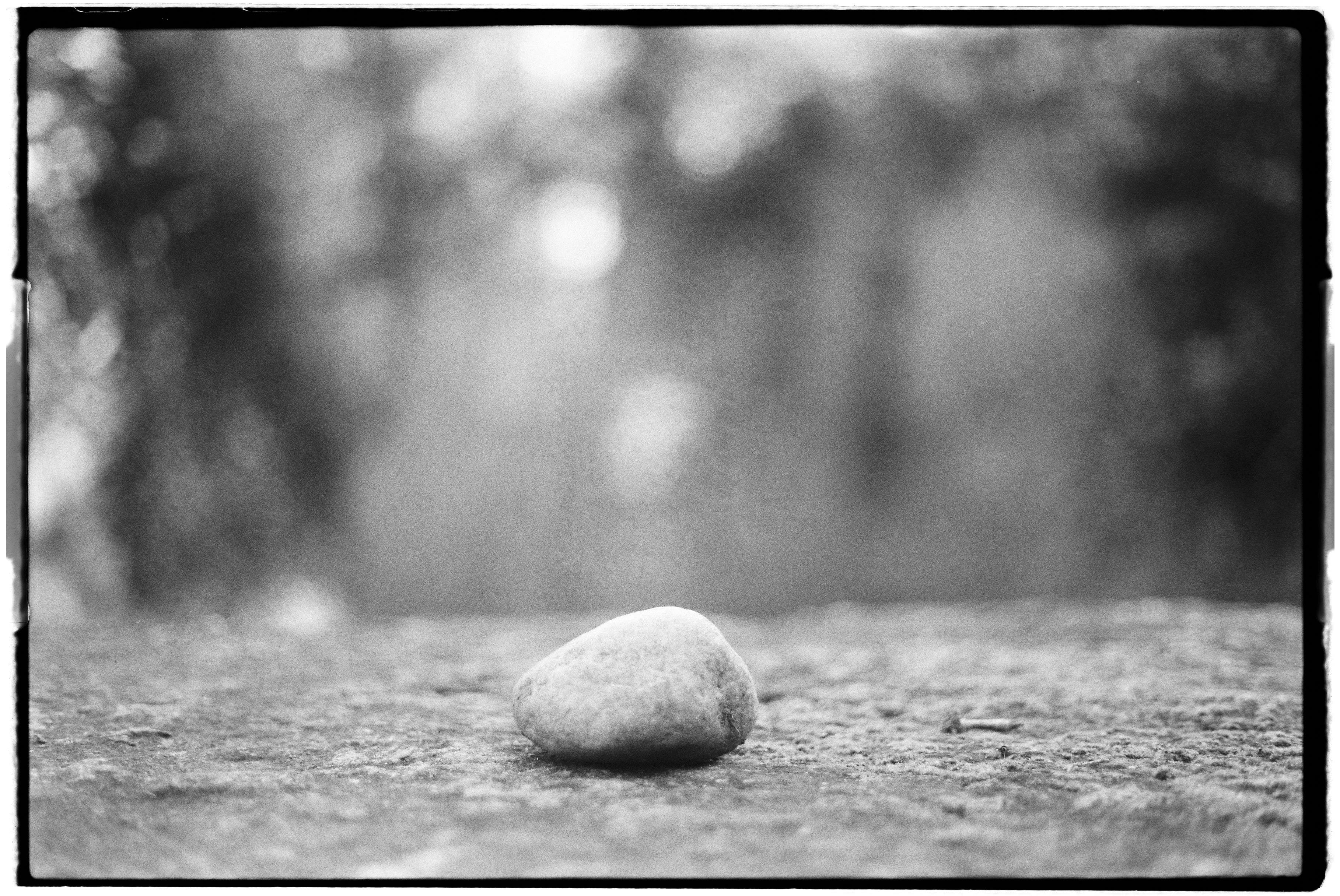 Roll Dump 5 — frame 8