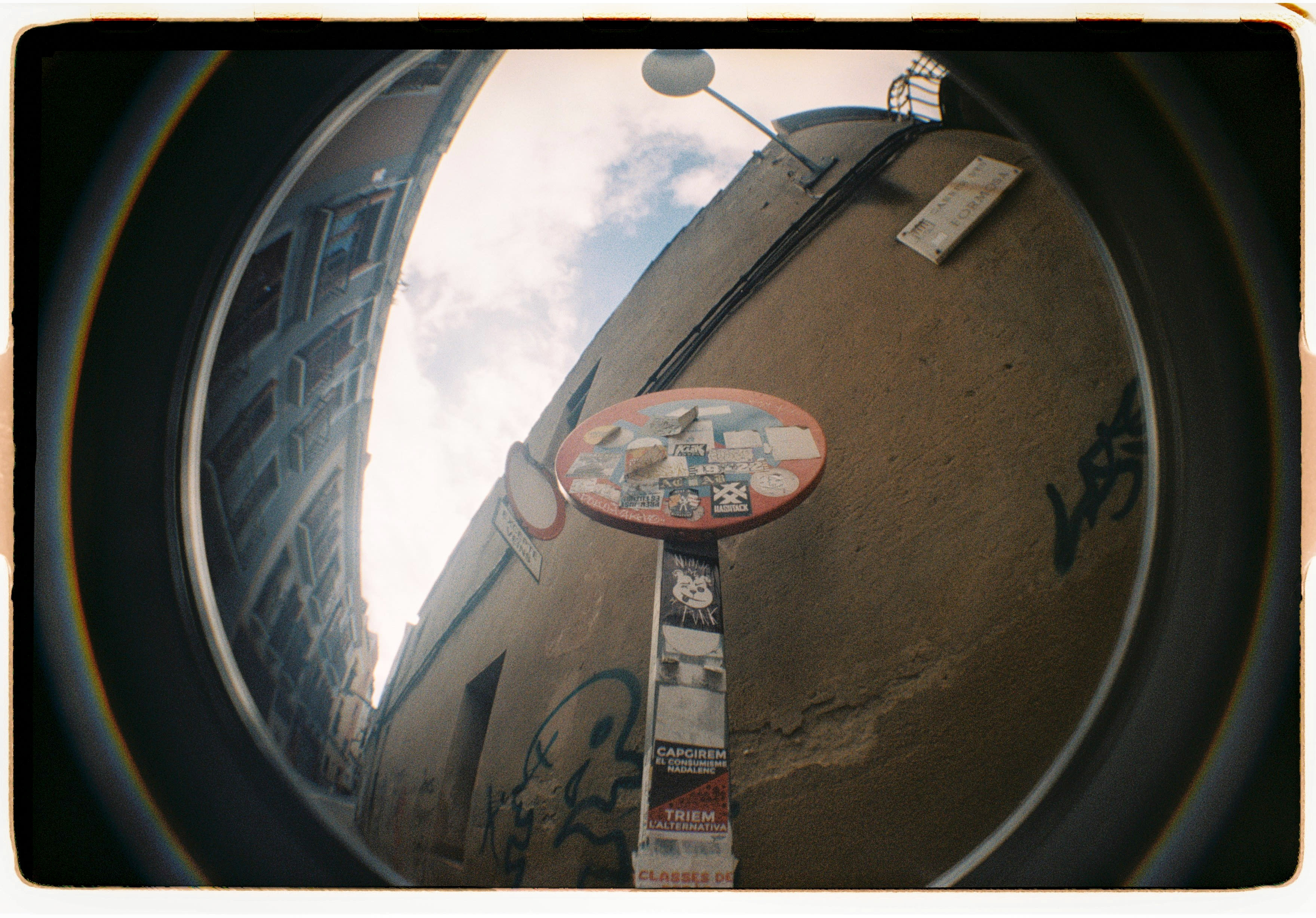 Roll Dump 7 — frame 3
