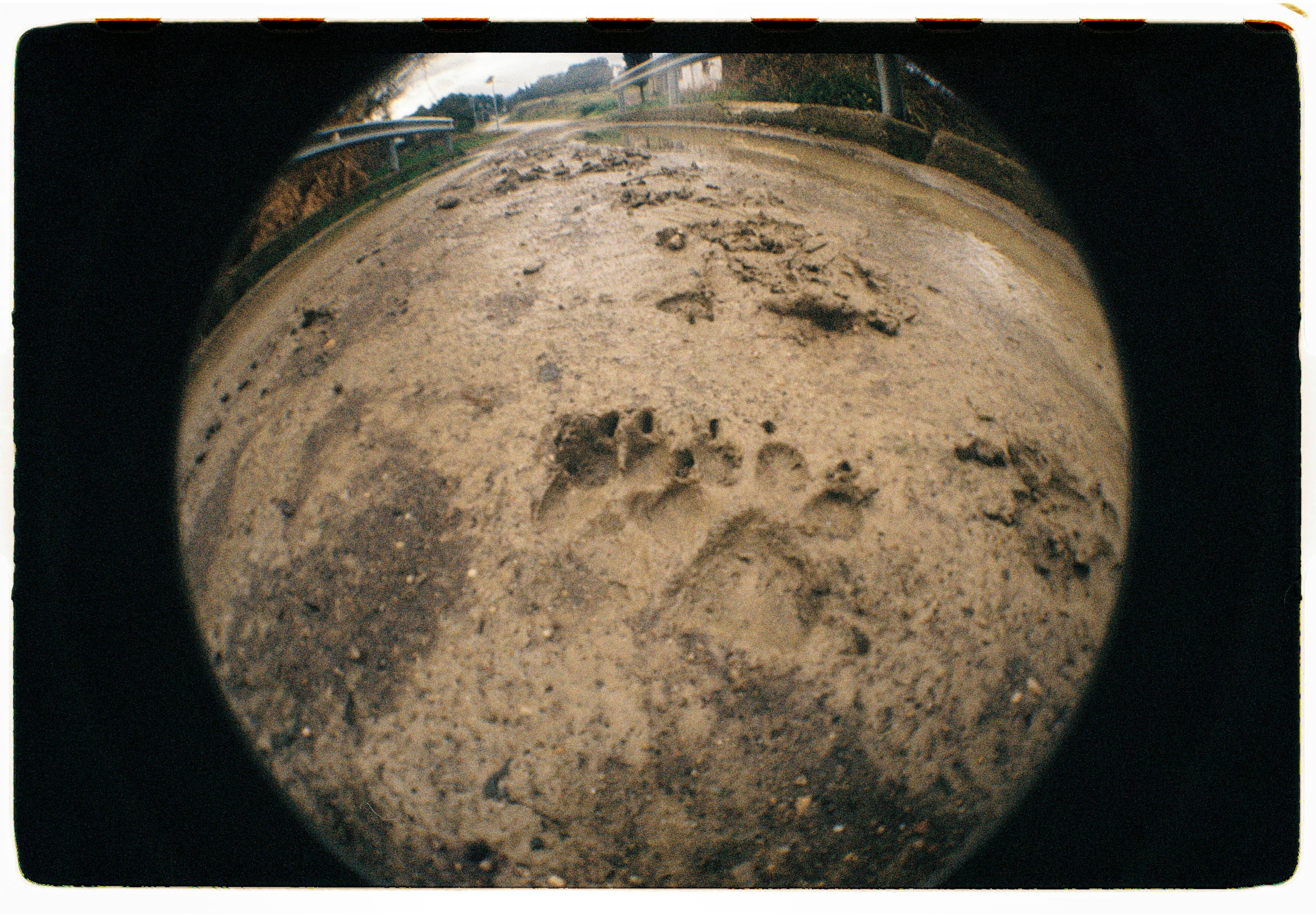 Roll Dump 7 — frame 8