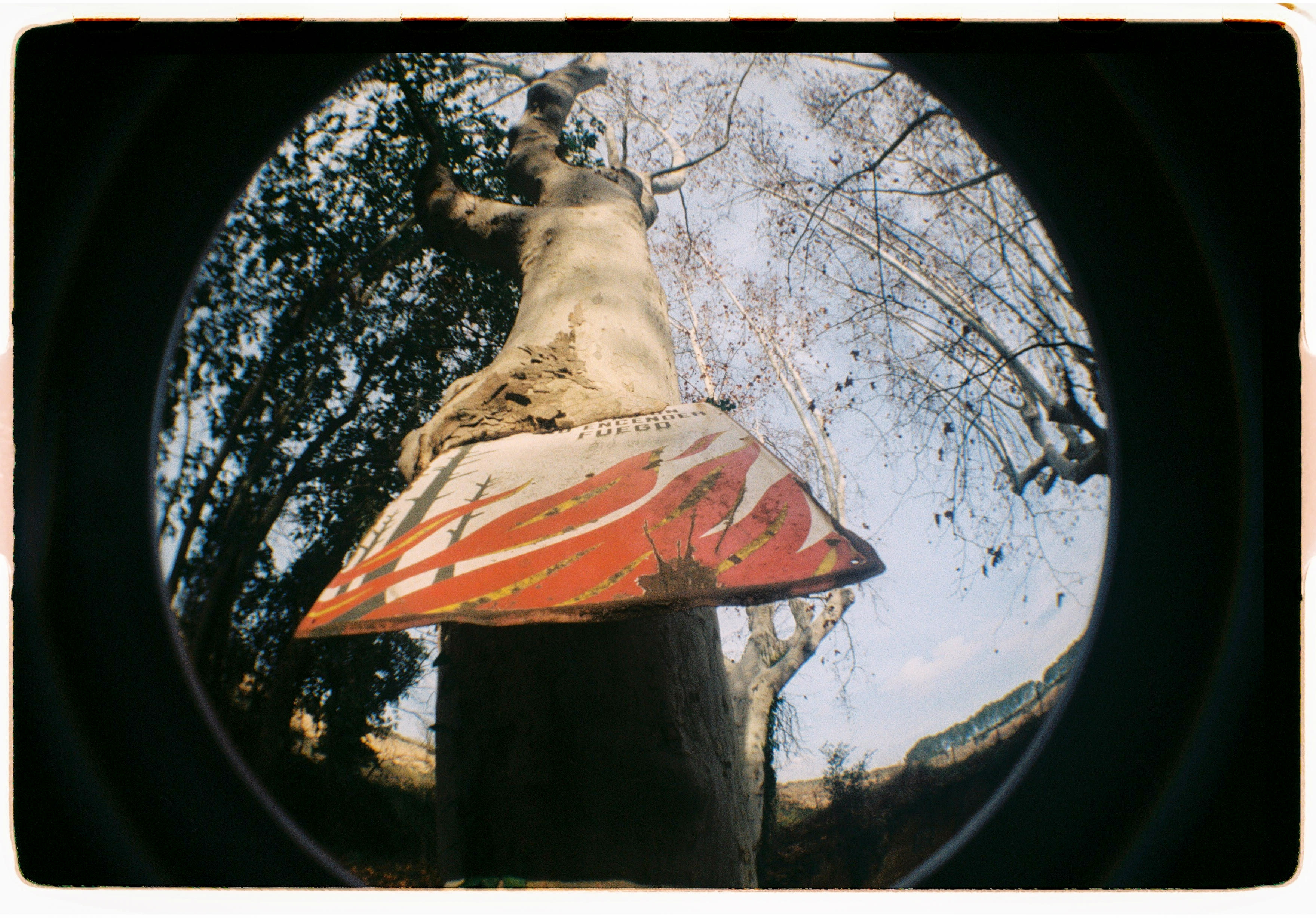 Roll Dump 7 — frame 26