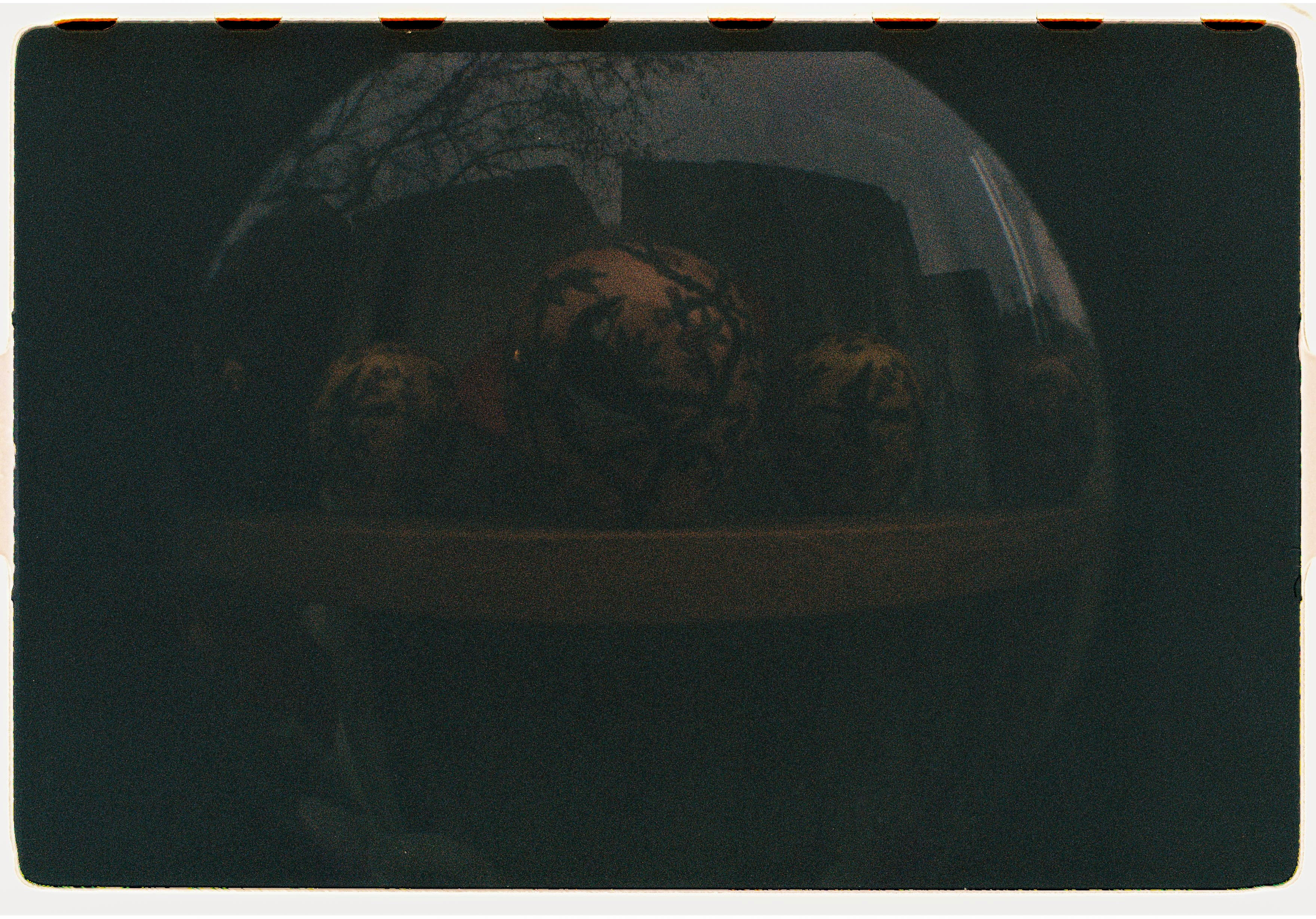 Roll Dump 7 — frame 31