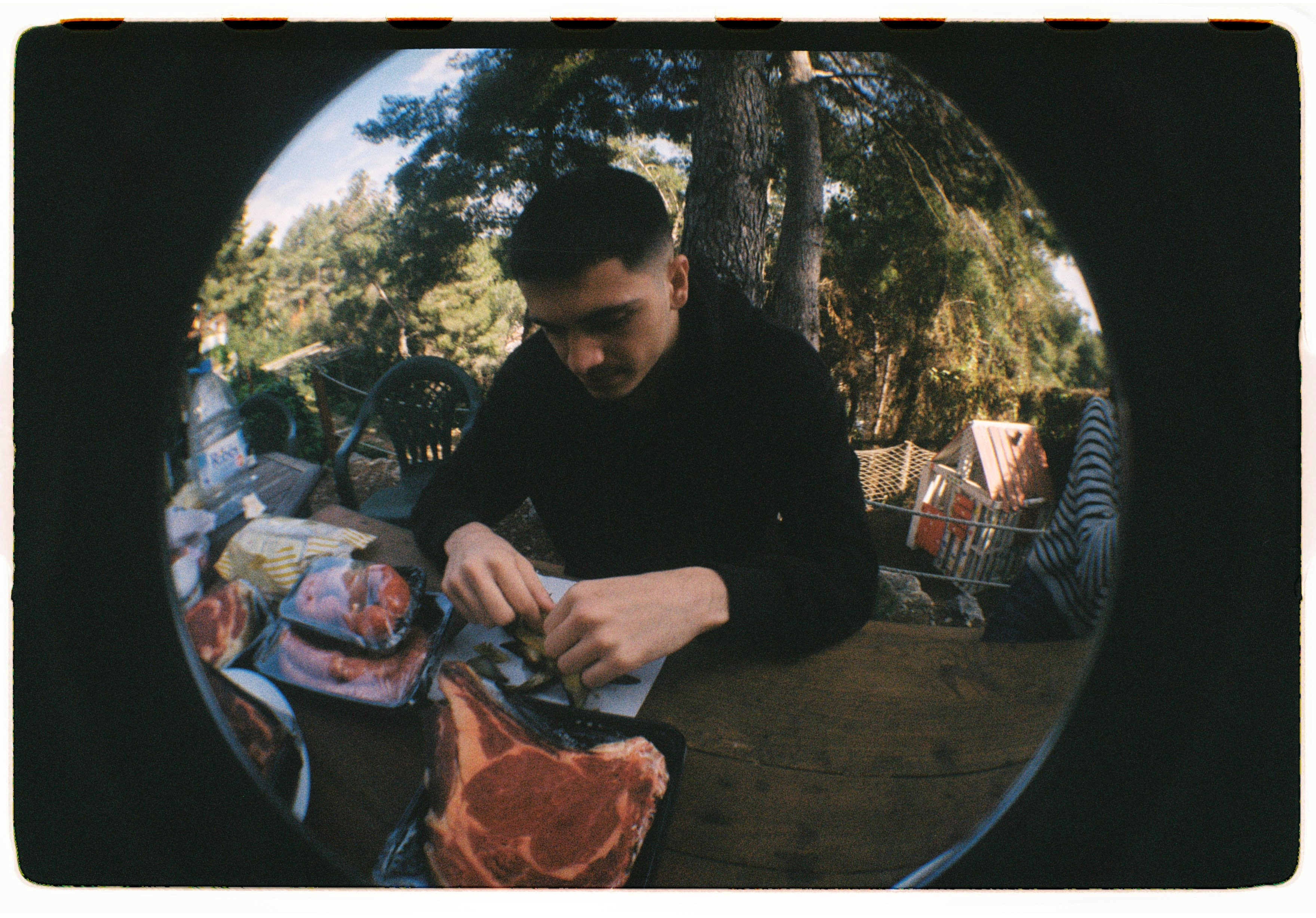 Roll Dump 8 — frame 8