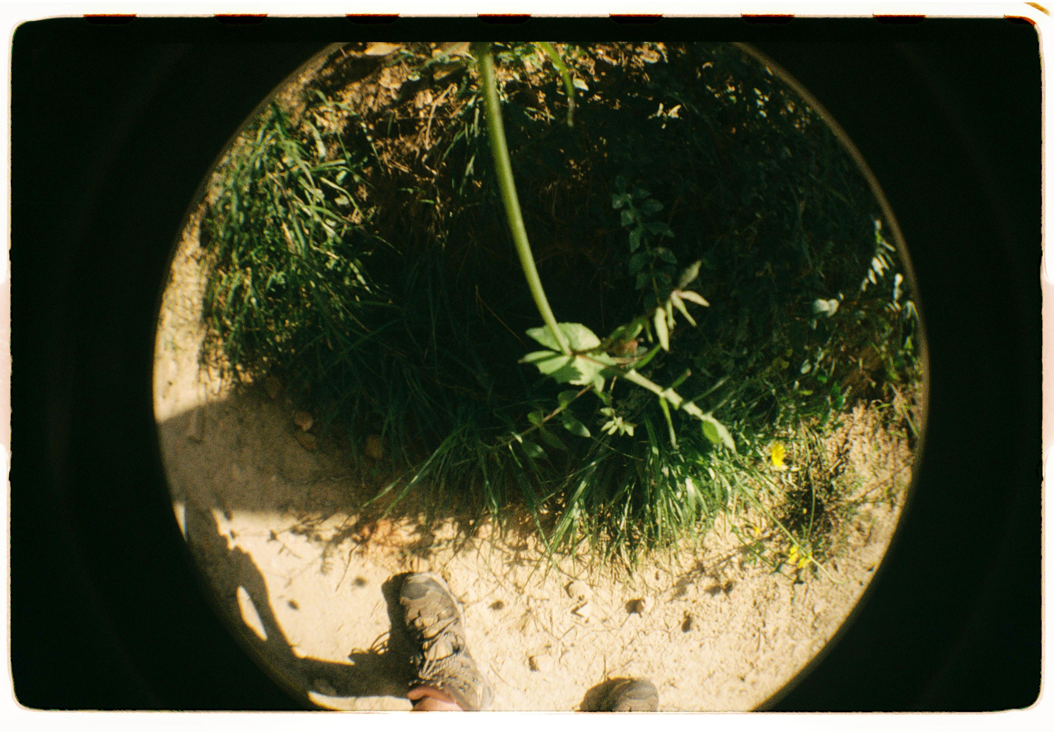 Roll Dump 8 — frame 10