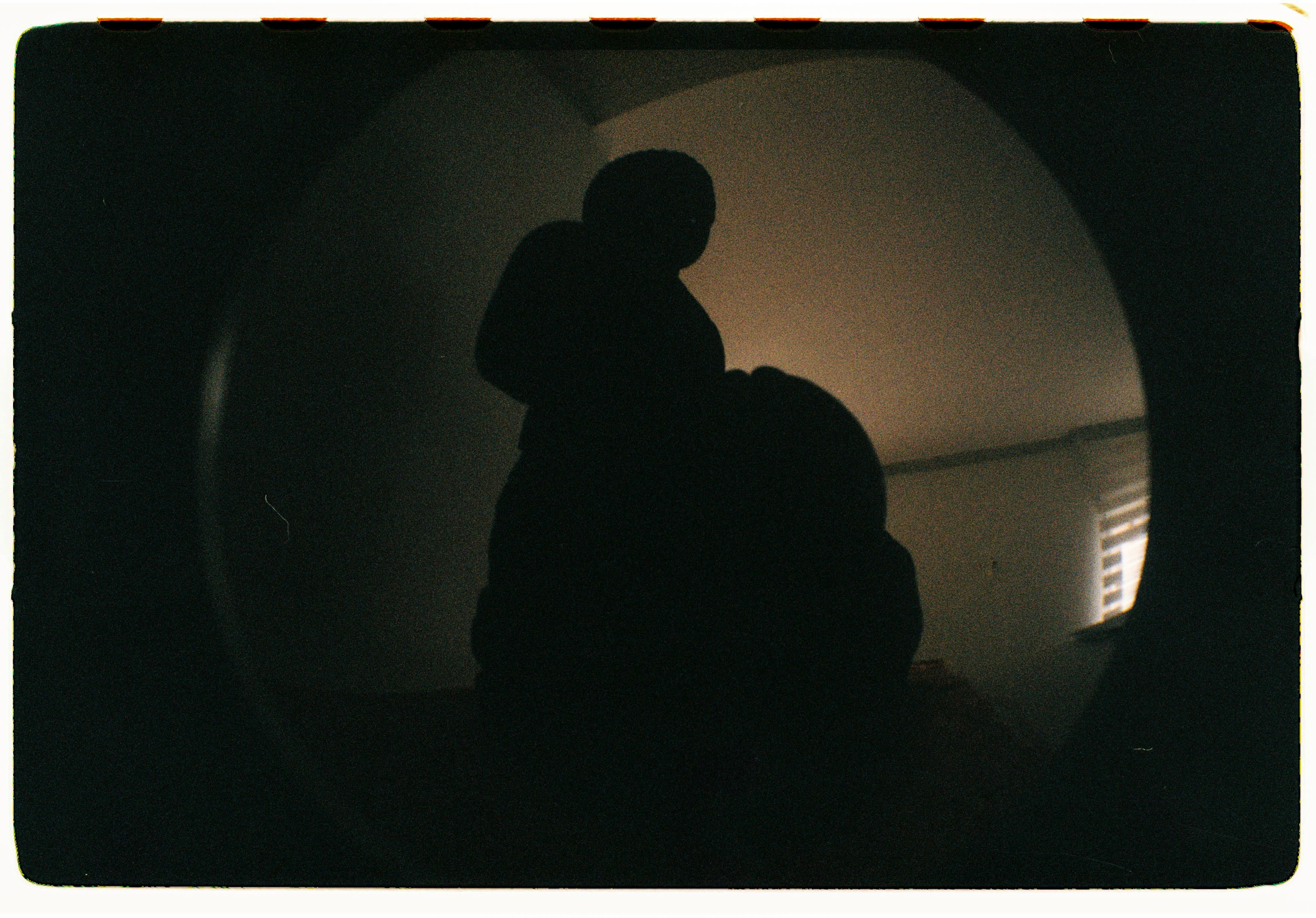 Roll Dump 8 — frame 29
