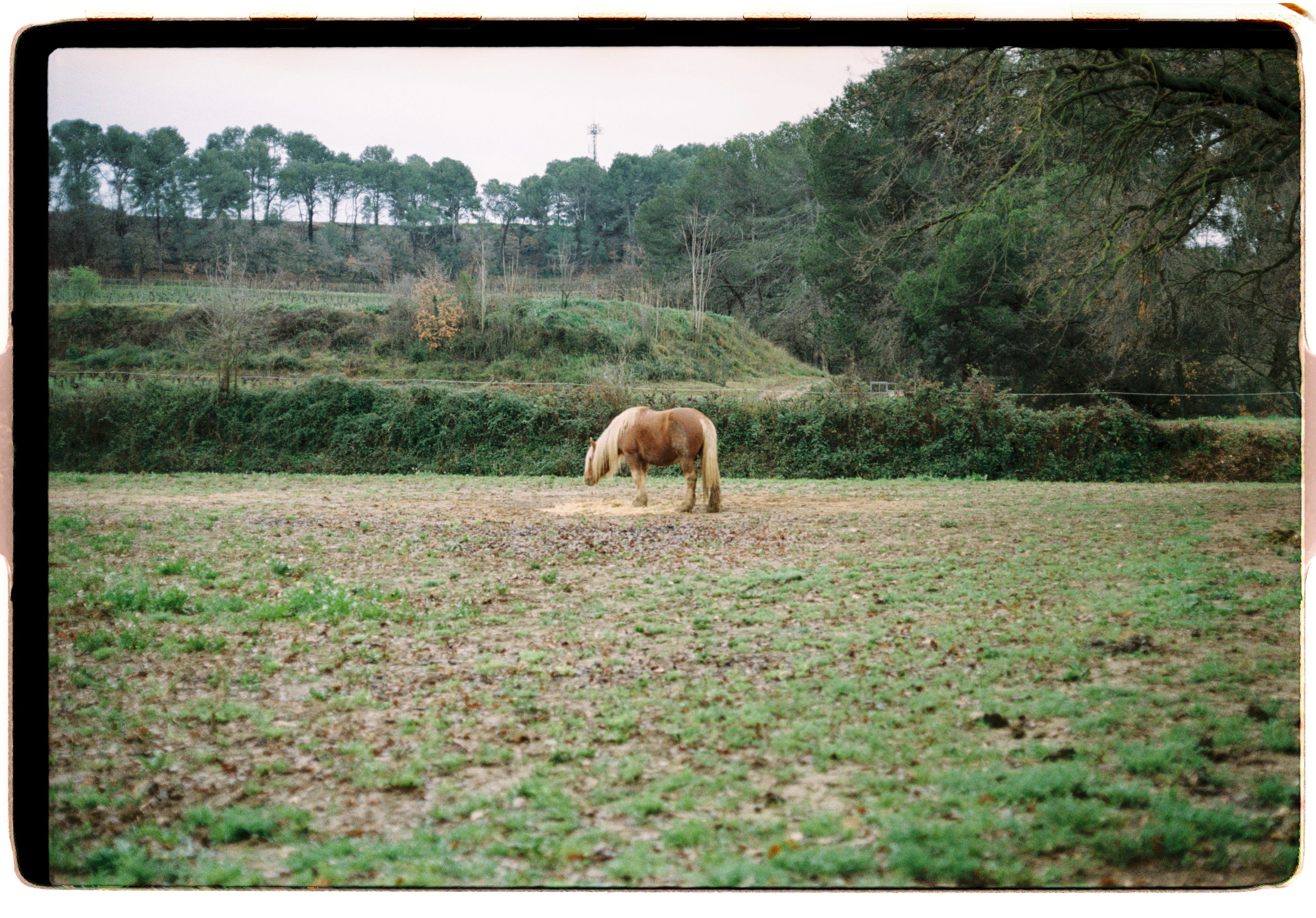 Roll Dump 9 — frame 35