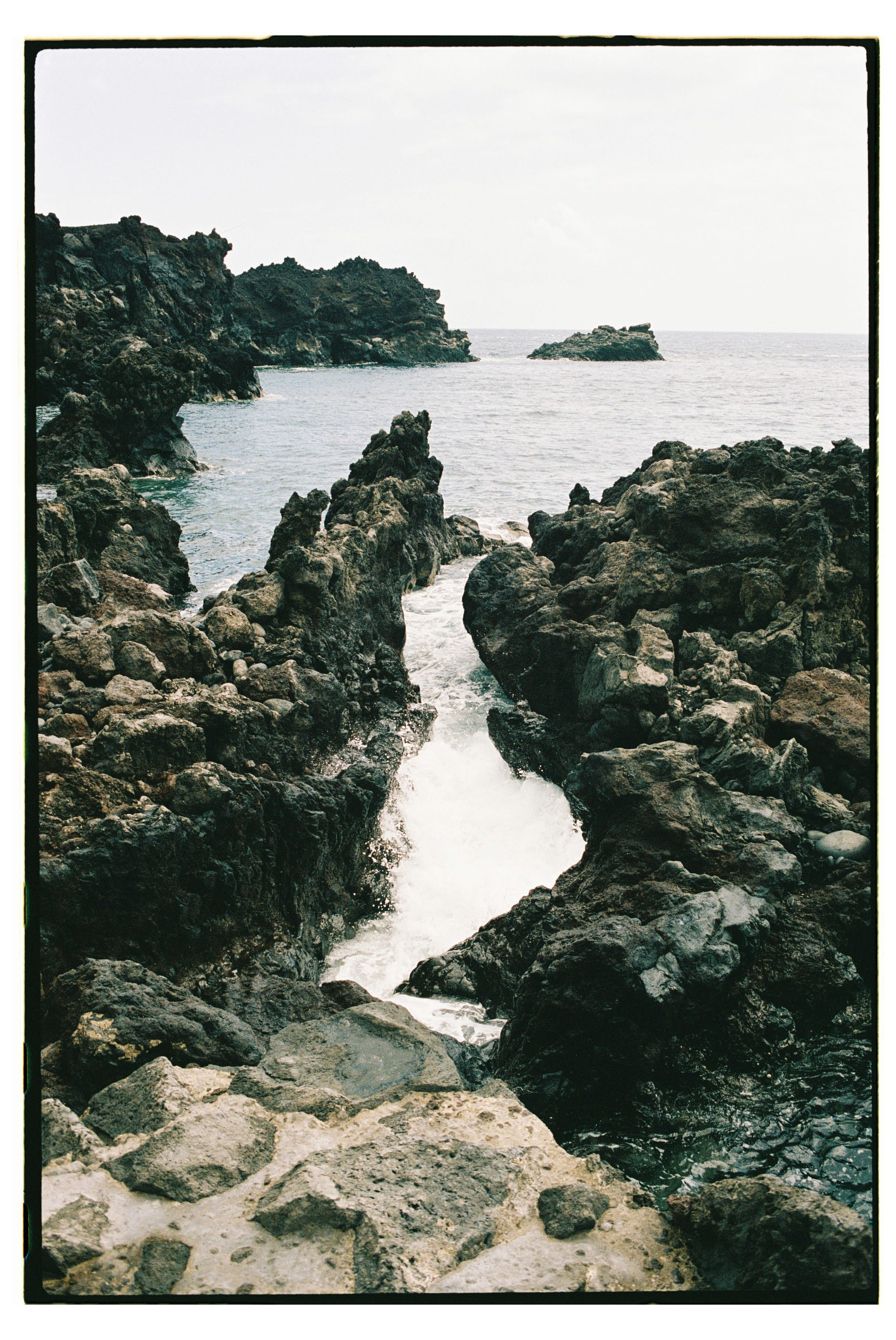 Roll Dump 16 — frame 31