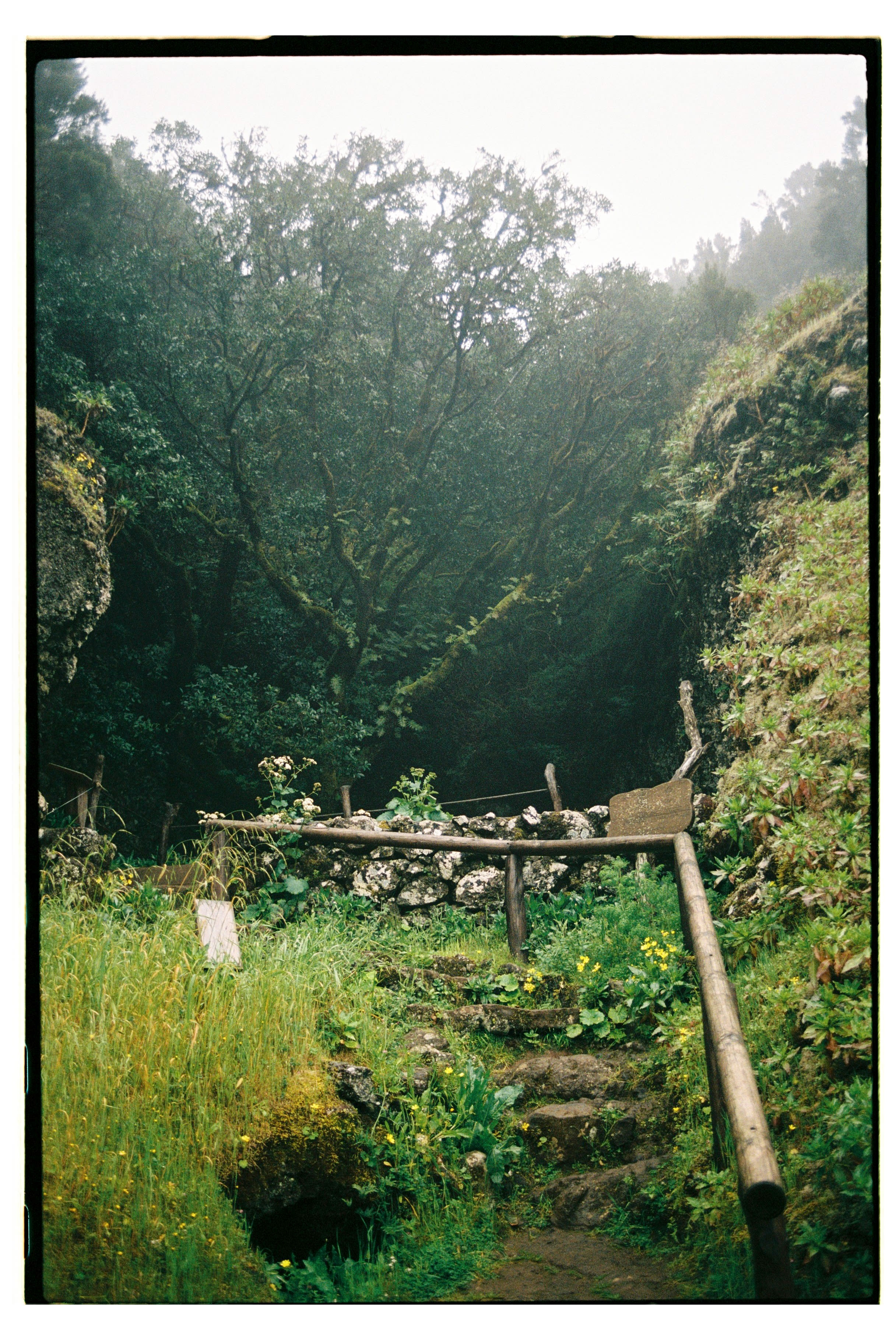 Roll Dump 16 — frame 36