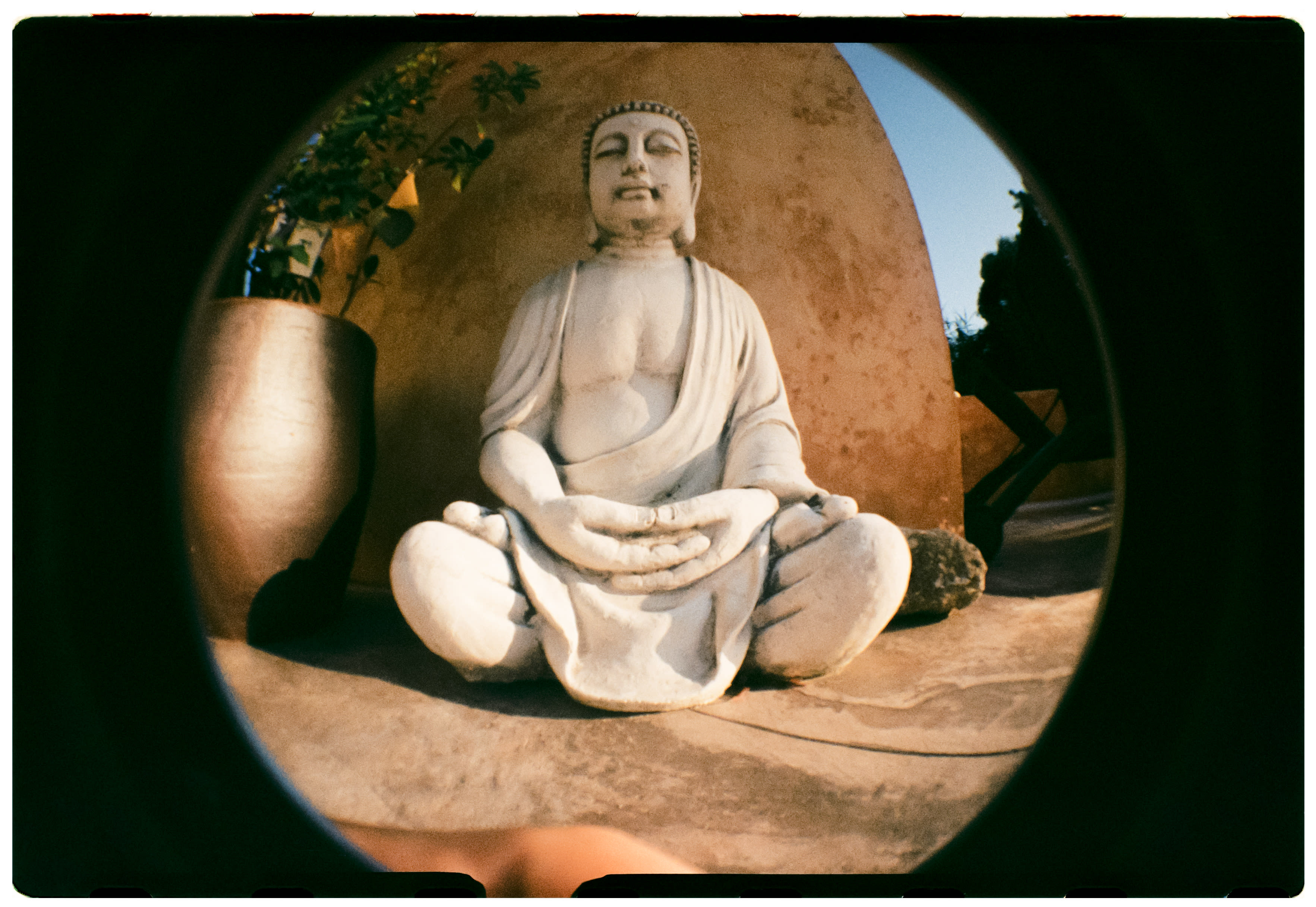 Roll Dump 19 — Lomography Fisheye No. 2 · Kodak Gold 200 (35mm)